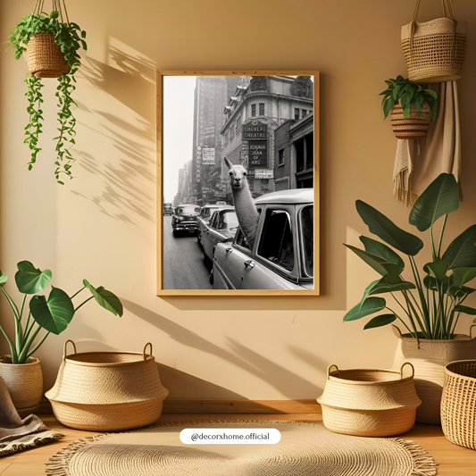 Funny Llama in New York Taxi Wall Art Poster | Vintage Black & White City Photography Print | Decorexhome